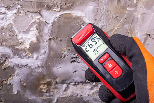 Certified Mold Removal in South Sarasota, FL